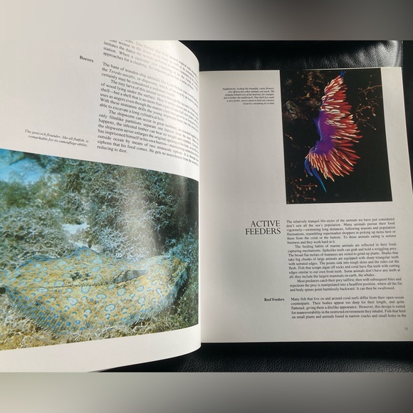 Books (Hardback): The Ocean World by Jacques Cousteau - Picture 12 of 16